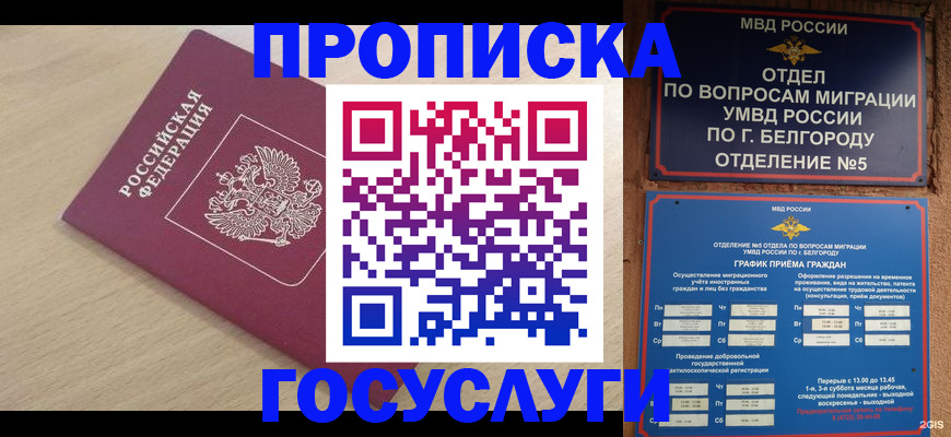 прописка законно в Семилуках